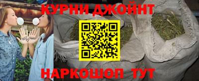 прущие грибы Дубна