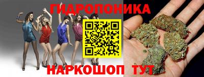 бошки Заводоуковск