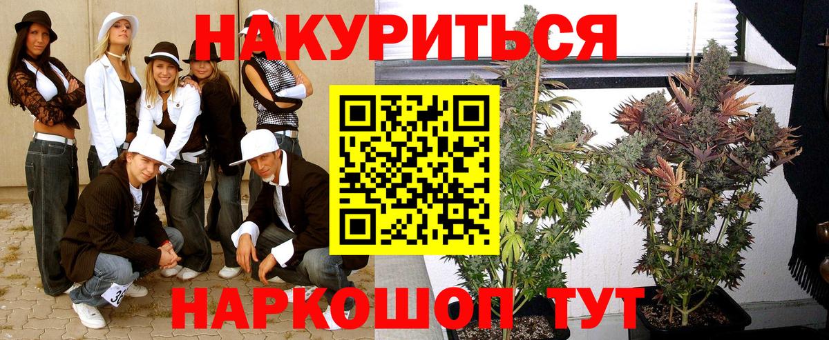 МАРИХУАНА семена  Шишки марихуана сатива  Вход с VPN  Бошки марихуана сатива  Череповец  Бошки марихуана Bruce Banner 